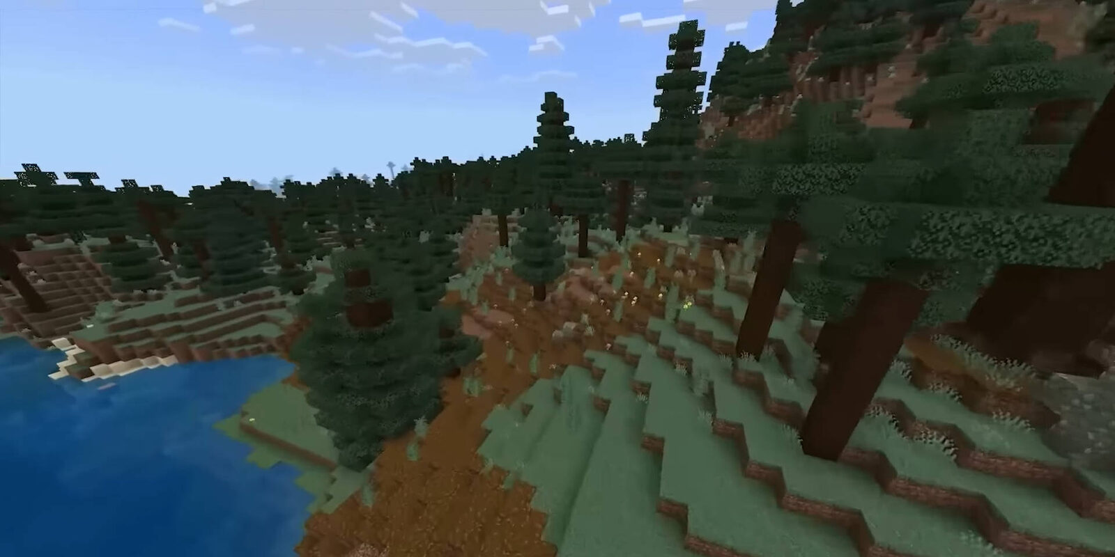 A snowy Minecraft taiga biome with pine trees stretching into the distance